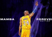 开云体育视频直播-当希腊神话降临欧冠之夜，字母哥末节接管比赛的永恒瞬间