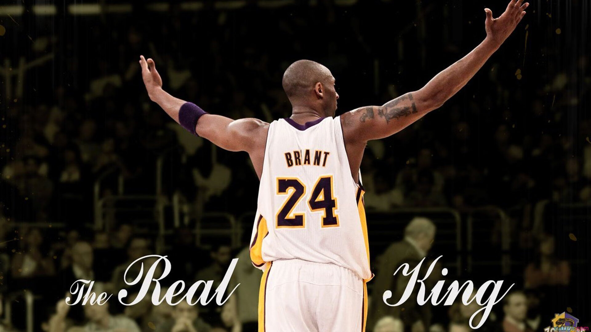 西甲国家德比焦点战启示录，广厦队如何从关键战中突围国王